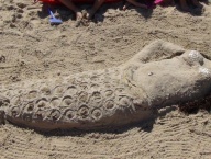 Skulptur in den Sand